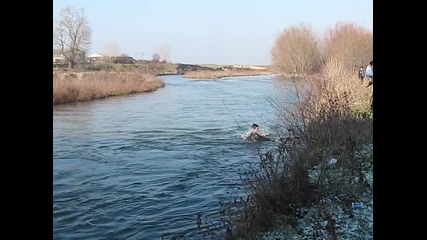 rajevo konare krasta