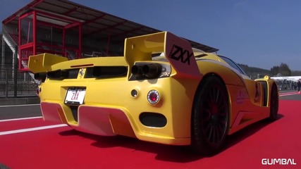 840hp Ferrari Enzo Zxx Edo Competition