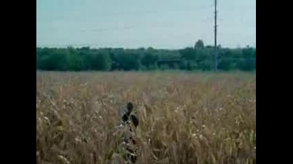 Prison Break Season1 - Season2 Mix