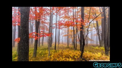 Топ най-смешни коментари на деня начало