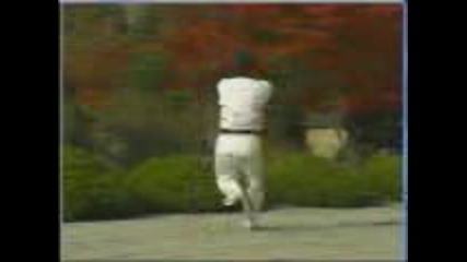 Wtf Taekwondo - Ilio (17 Poomse)