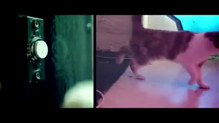 Ed Sheeran - Drunk (official Video)