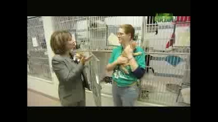 Animal Cops - Houston Cattery