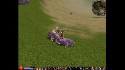 30lvl archery vs all boss in map1