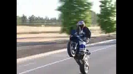 Darius - Wheelie