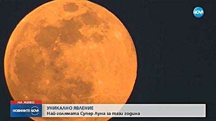 Уникално явление: Най-голямата Супер Луна за тази година