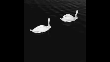 *2015* Cashmere Cat ft. Ariana Grande - Adore