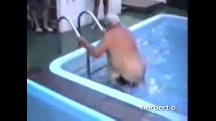 water accidents