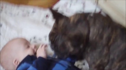Dogs Best Nannies for Kids Compilation November 2013