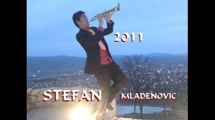 Stefan cocek 2011