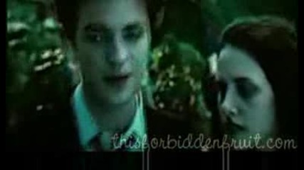 Bella Amp Edward - On Fire