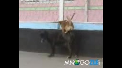 Размерът Има Значение!