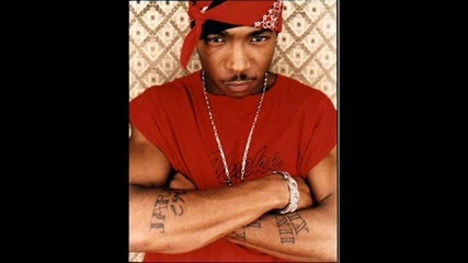 Ja Rule - The Inc is Back 