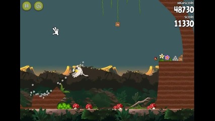 Angry birds riо