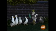 The Penguins of Madagascar - Penguiner takes all