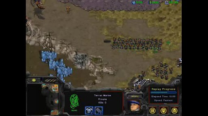 Starcraft Lurker Bug