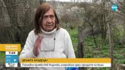 "Дръжте крадеца": Защо къща на възрастна жена от Видинско остана без ограда