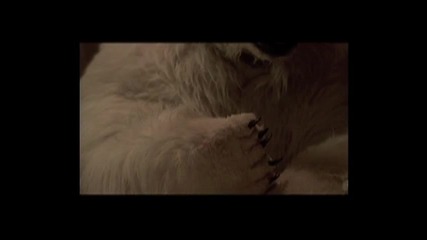 Larc En Ciel - Movie 1 (are You Ready dvd) 