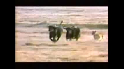 Annihilator - King Of The Kill 