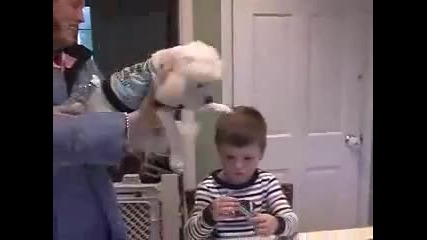 Тези падания стават само в Америка!!! (много смях) !!!!