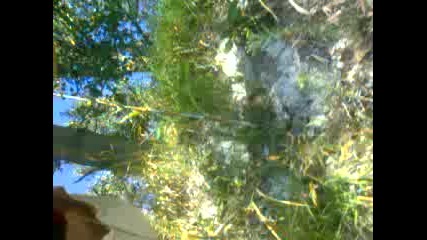 Los Angeles Mili Parkina Herkez Davetlidir 2015 Hd