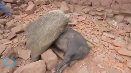 How to Prevent More Deaths When the Earth Quakes