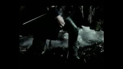 Wolf - Moonlight