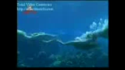 H2o Reklama Na Novite Epizodi.3gp