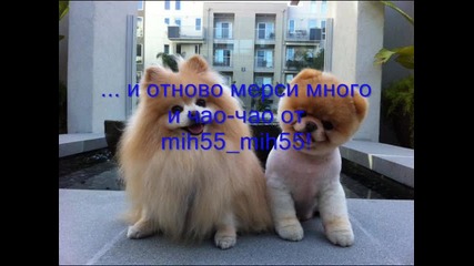 За kotenceto_f