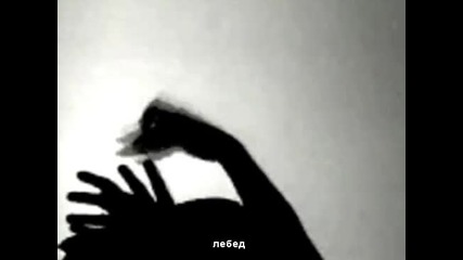 животни от сенки