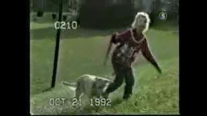 Release the hounds
