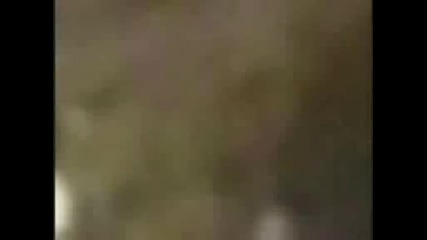 Много яко котка влиза в бутилка