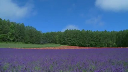 10 min Blue sky in my heart Orchestra