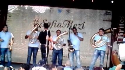 live mitar radic