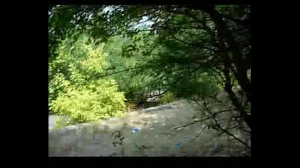 Остров Свобода Пазарджик 4