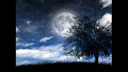 Just Relax And Watch The Stars!