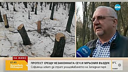Граждани протестират срещу изсичането на гората в Западния парк в София