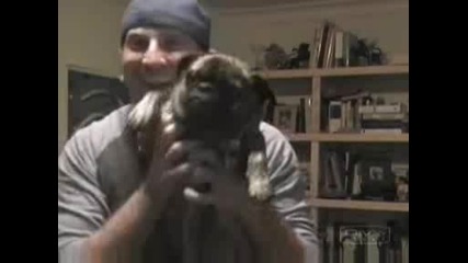 Look At My New Dog ... smqh :d