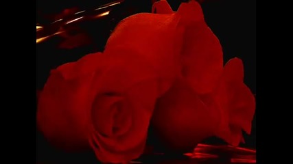 Gordana Lazarevic - Ti si dusa duse moje