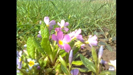 my pics 