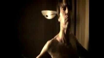 Within Temptation - What Have You Done