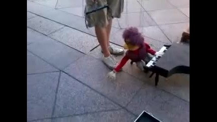 Невероятно изпълнение на улицата 