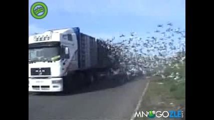 Лети лети лети хоп и излетя