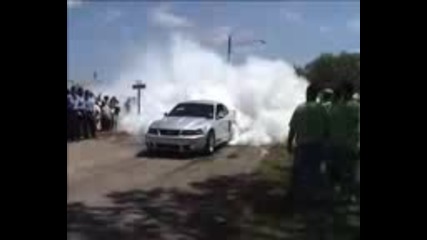 Mustang Burnout