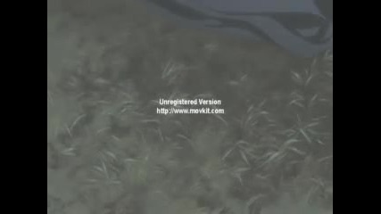Bleach Amv