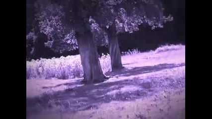 Minuscule Part l ( 10/11 ) 