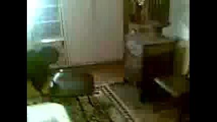 My sound system !