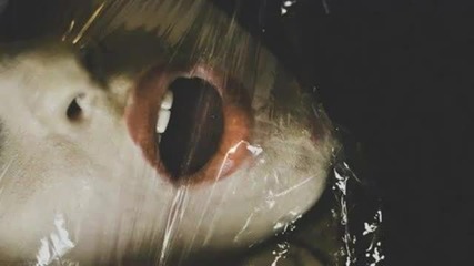 Sei A - Flicker (party Baron Remix) Turbo Recordings