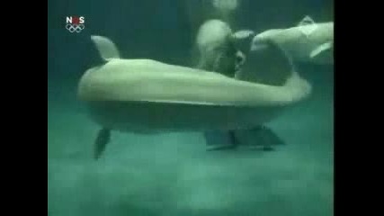 Делфин Прави Балончета