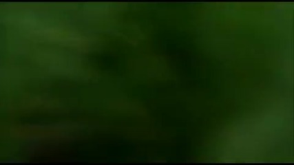 Lost Best Scenes #5 Yes, That s A Polar Bear 